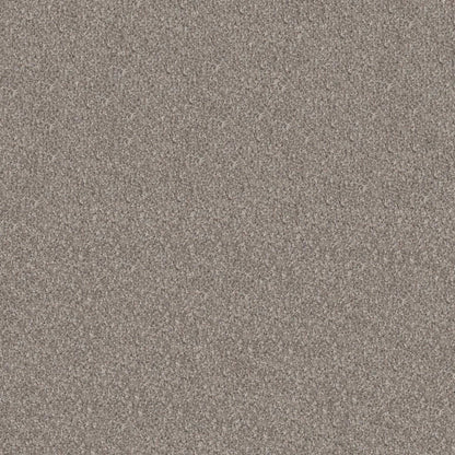 Elevated III in Perfection Carpet