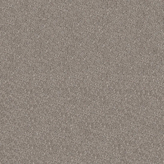 Elevated III in Perfection Carpet