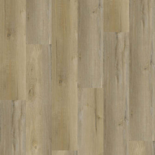 Bliss 5.0 in Nokomis Luxury Vinyl