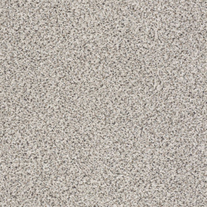 TAKE THE FLOOR ACCENT II