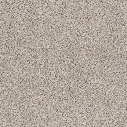 TAKE THE FLOOR ACCENT II