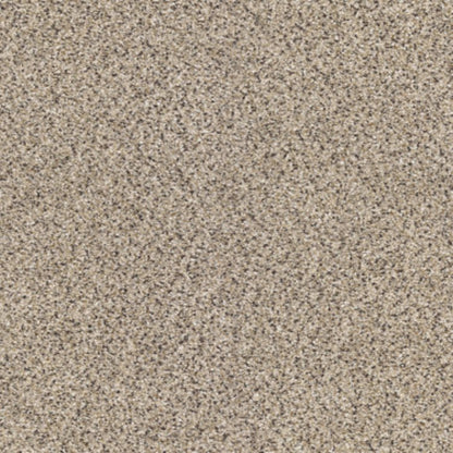 TAKE THE FLOOR ACCENT II