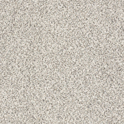TAKE THE FLOOR ACCENT II