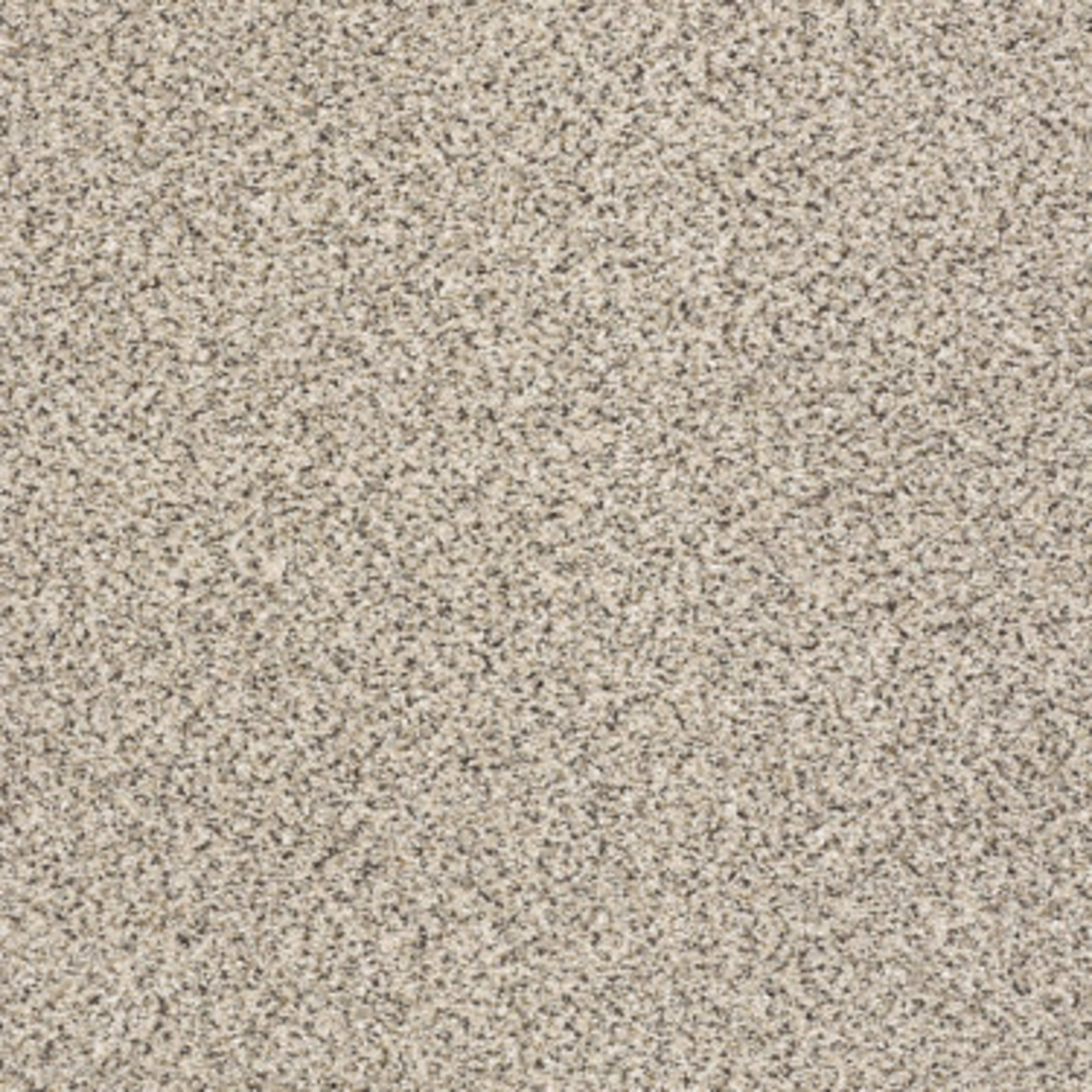 TAKE THE FLOOR ACCENT II in Luna Carpet