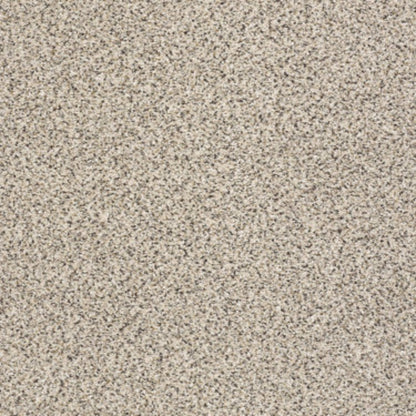 TAKE THE FLOOR ACCENT II in Luna Carpet