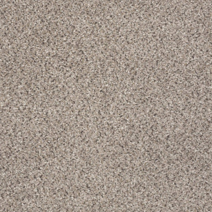 TAKE THE FLOOR ACCENT II