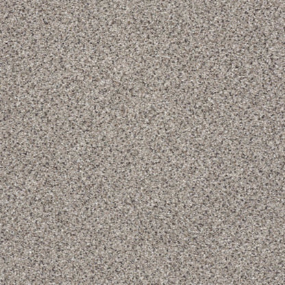 TAKE THE FLOOR ACCENT II