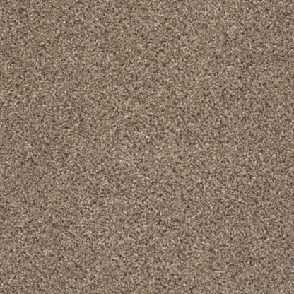 TAKE THE FLOOR ACCENT II