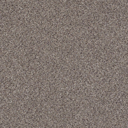 TAKE THE FLOOR ACCENT II