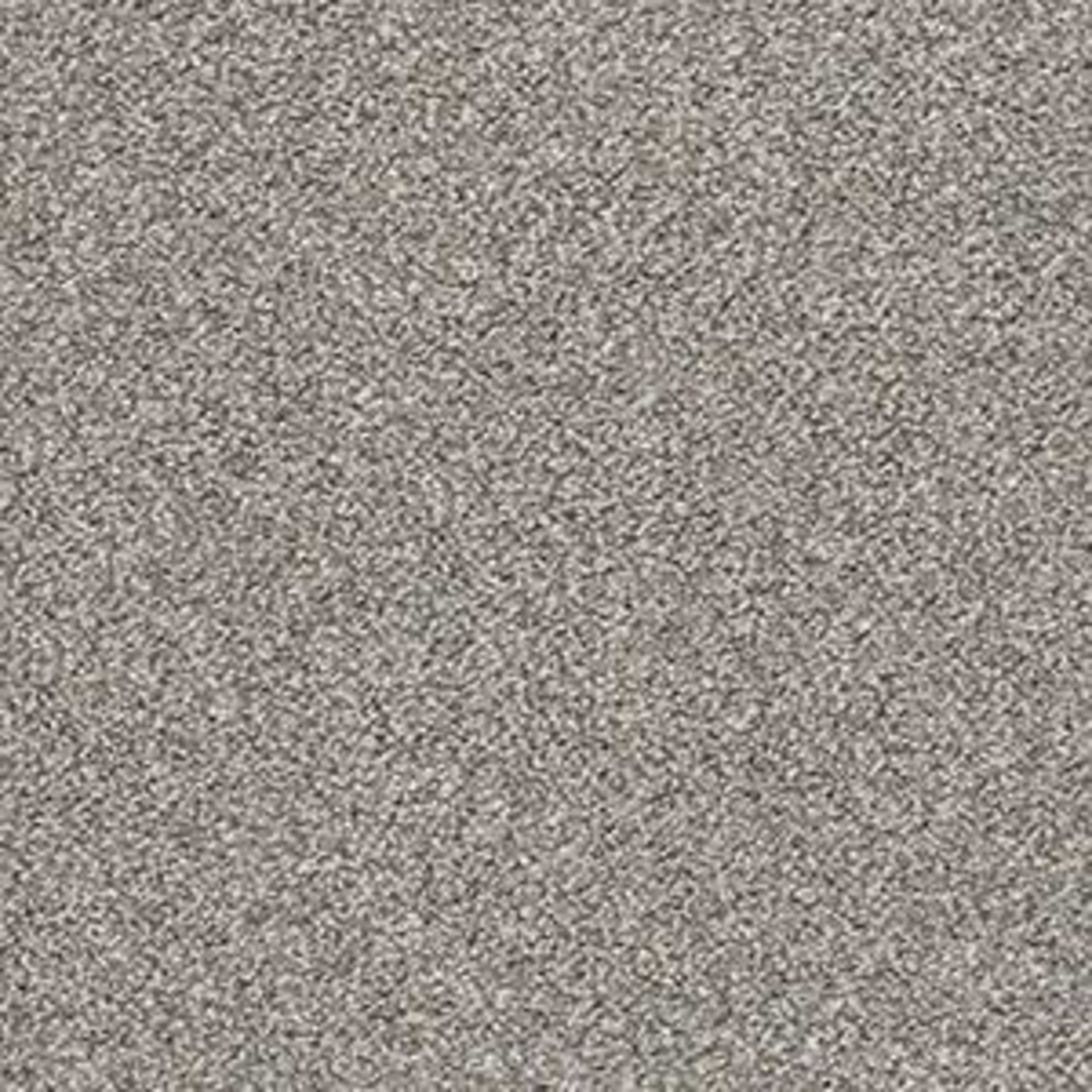 POISED in Flannel Gray Carpet