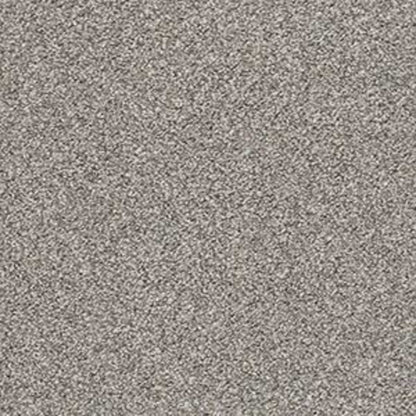 POISED in Flannel Gray Carpet