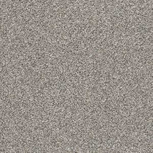 POISED in Flannel Gray Carpet