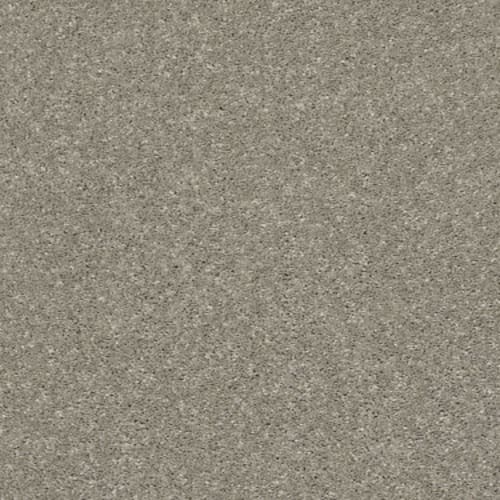 AFTER ALL II in Rustic Taupe
