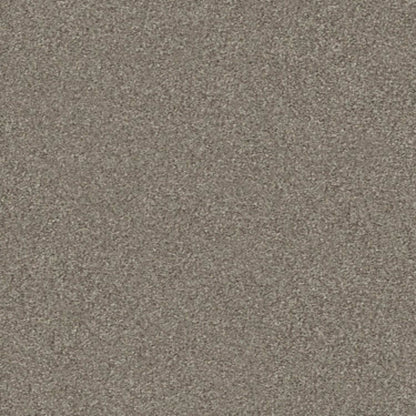 MONTAGE II in Midtown Brown Carpet