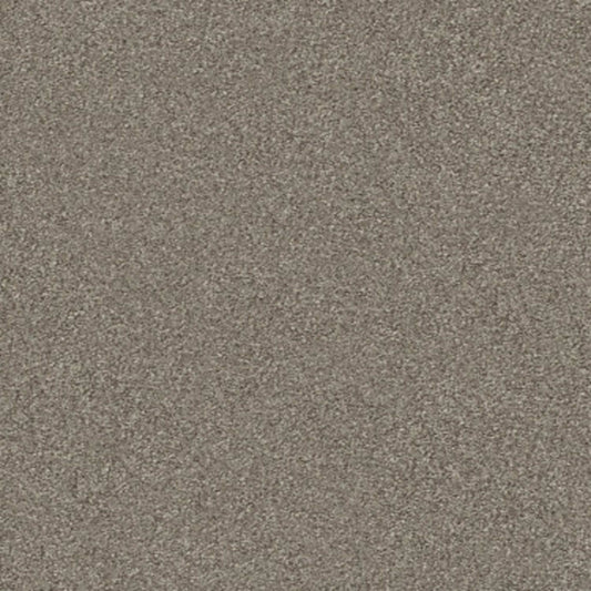 MONTAGE II in Midtown Brown Carpet