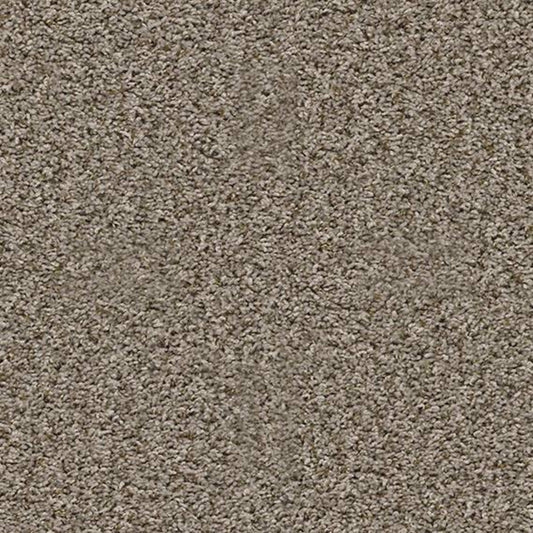 BREAK AWAY (T) in Nature Trail Carpet