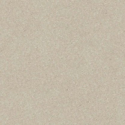 SOLIDIFY I 15' in Bleached Carpet