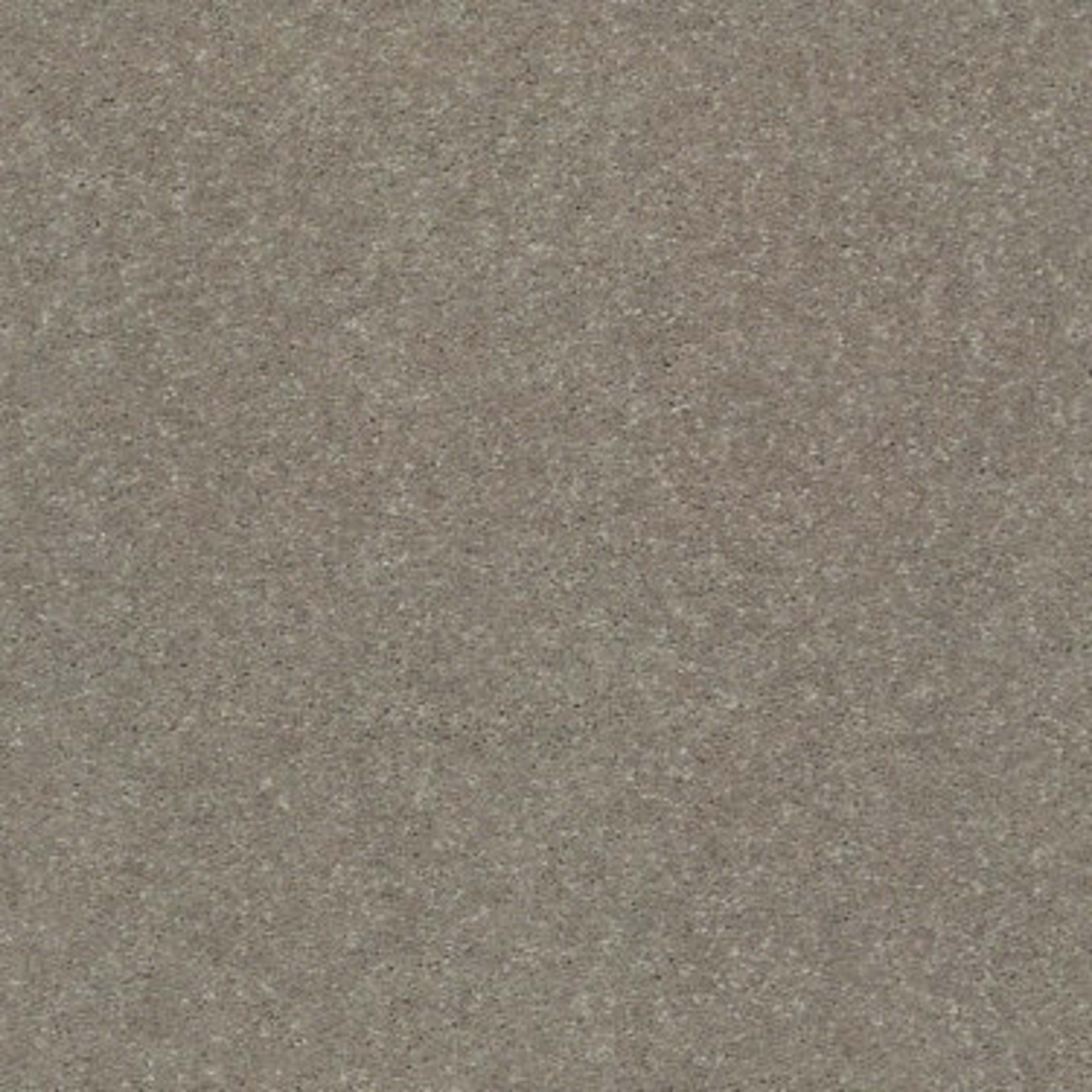 SOLIDIFY II 15' in Natural Contour Carpet