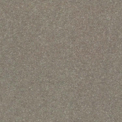 SOLIDIFY II 15' in Natural Contour Carpet