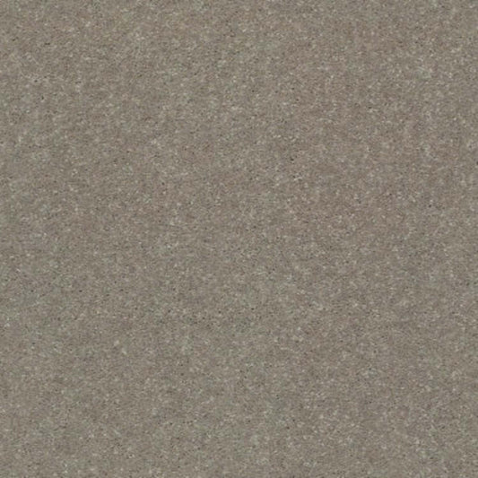 SOLIDIFY II 15' in Natural Contour Carpet