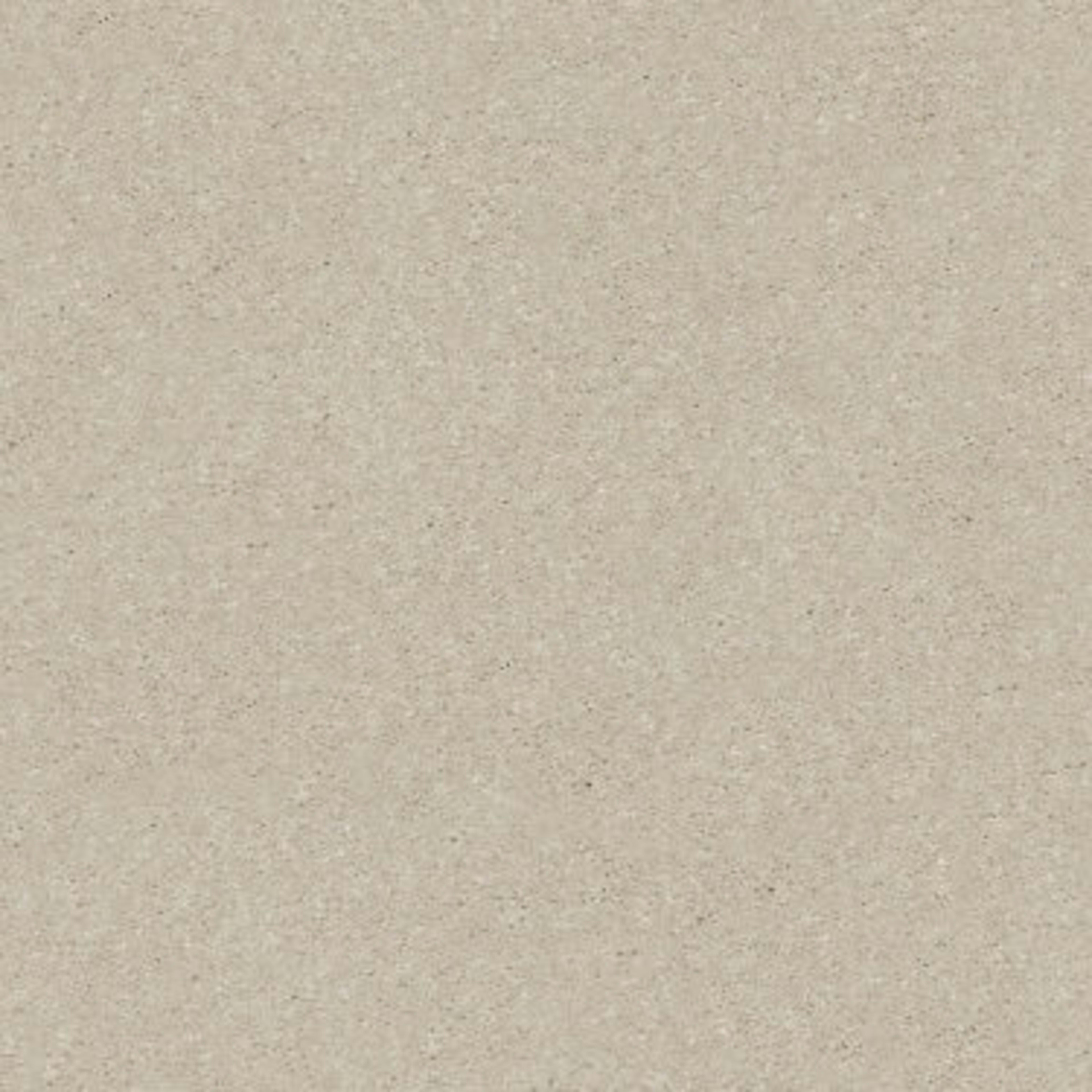 SOLIDIFY III 15' in Bleached Carpet
