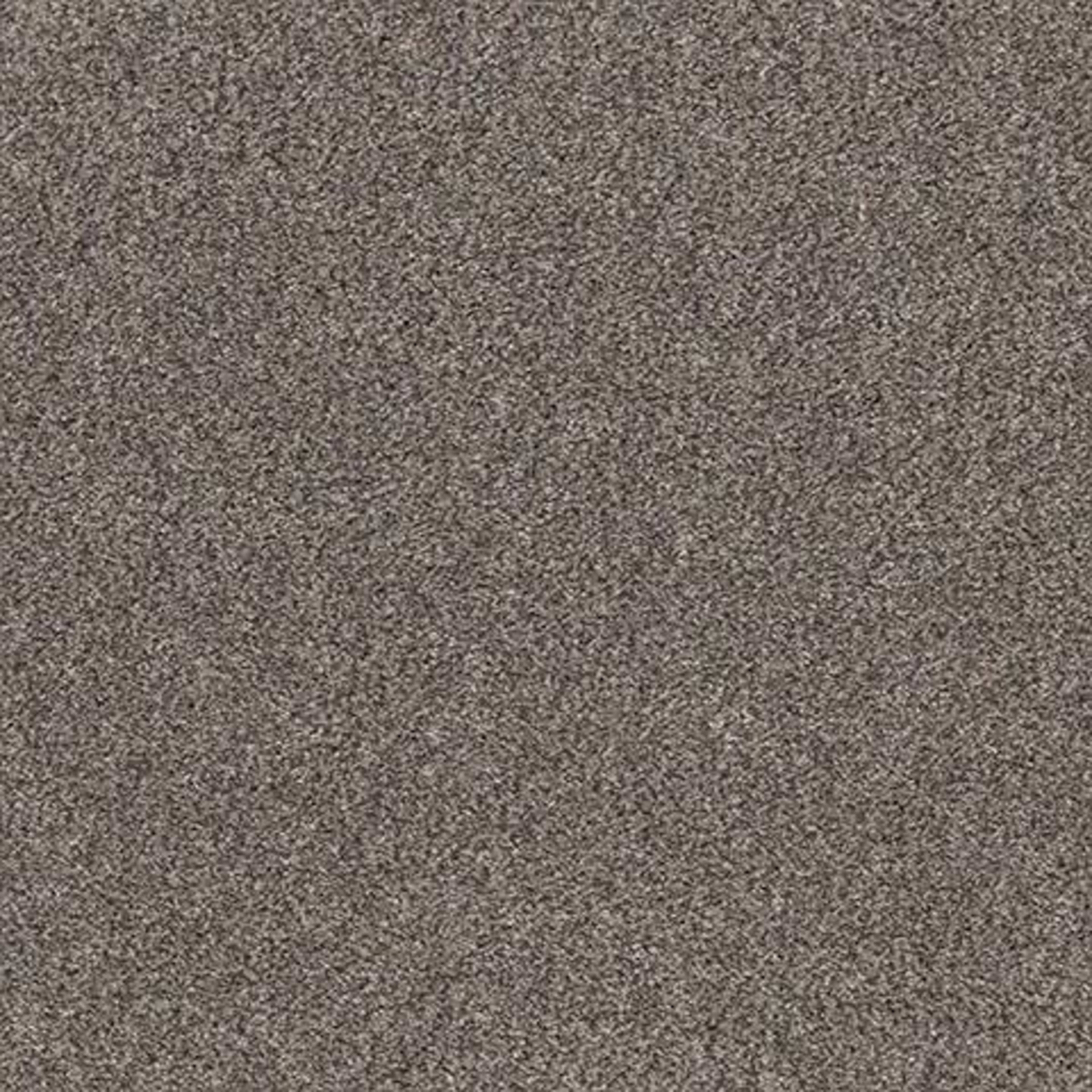 CALM SIMPLICITY I in Shoreline Carpet