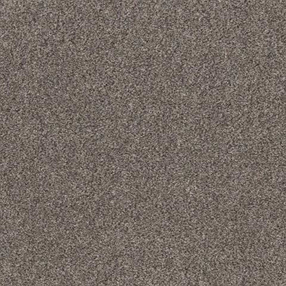 CALM SIMPLICITY I in Shoreline Carpet