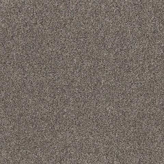 CALM SIMPLICITY I in Shoreline Carpet