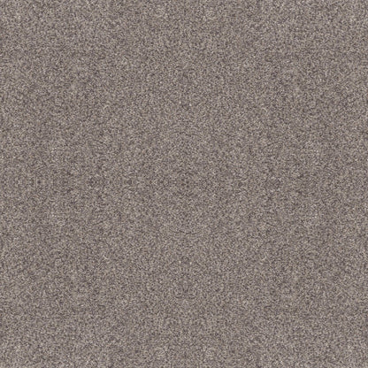 CALM SIMPLICITY II