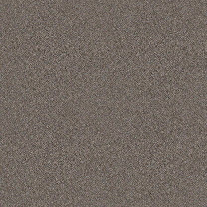 CALM SIMPLICITY II