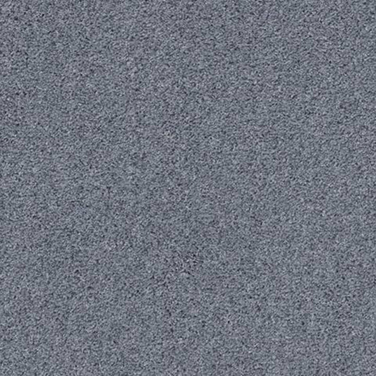 QUIET SANCTUARY in Thundered Steel Carpet