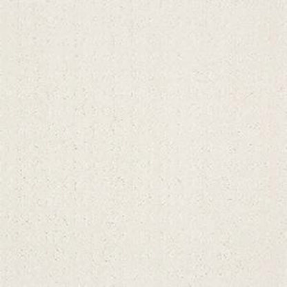 ESSENTIAL NOW in Serene Still Carpet