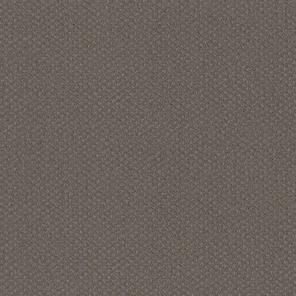 MAINSTAY in Ridgeview Carpet