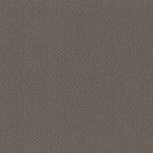 MAINSTAY in Ridgeview Carpet