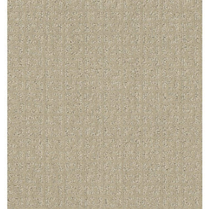 TRANSFORM in Candle Glow Carpet