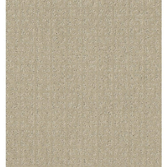 TRANSFORM in Candle Glow Carpet