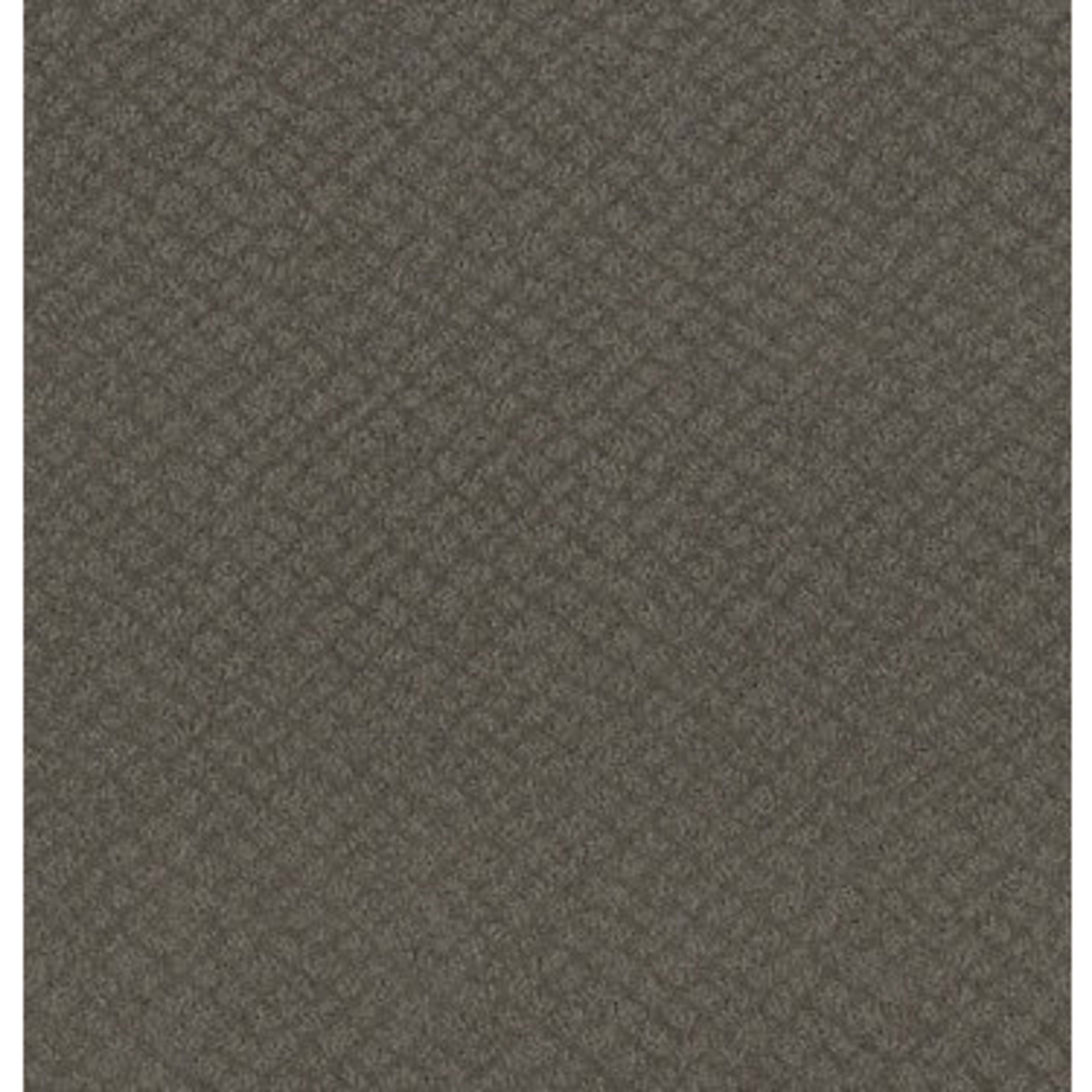 CHIC SHADES in Ridgeview Carpet