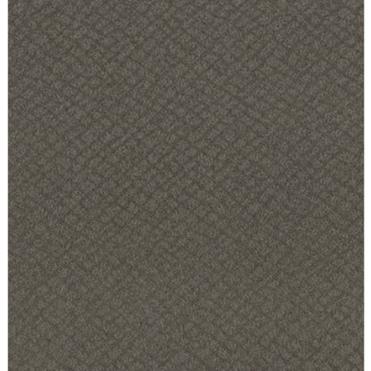 CHIC SHADES in Ridgeview Carpet
