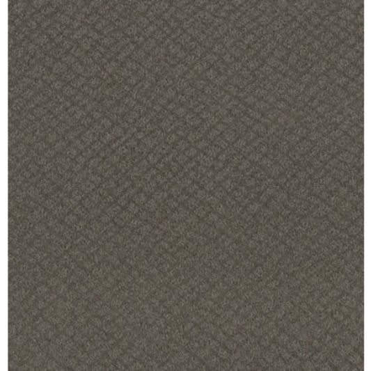 CHIC SHADES in Ridgeview Carpet