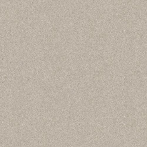 HARMONIOUS III in Champagne Toast