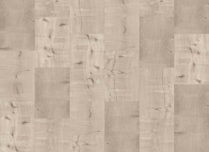 SYMBIOTIC 12 in Canvas