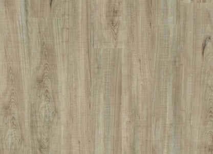 SETUP in Chatter Oak