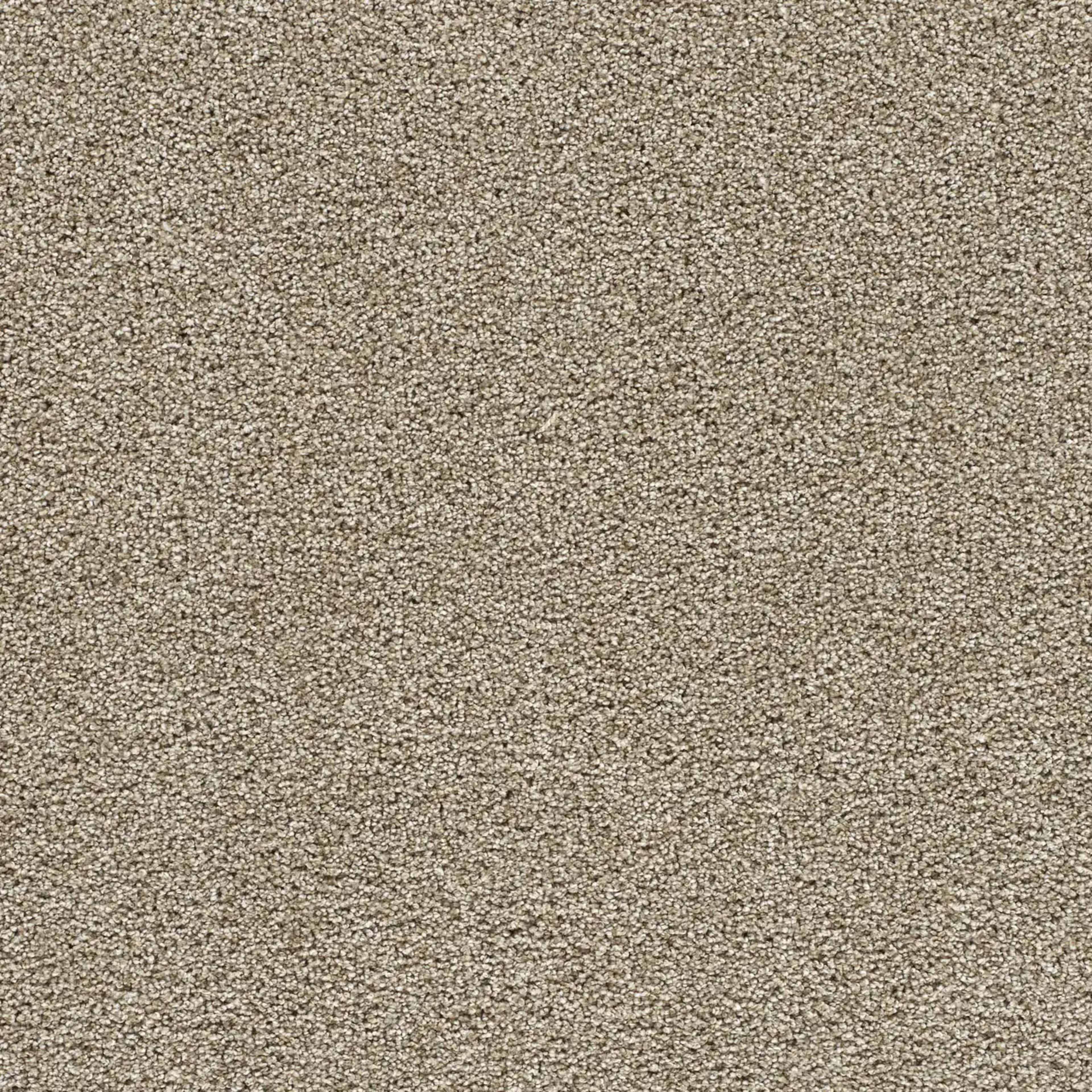 Silver Lining III in Dust Carpet