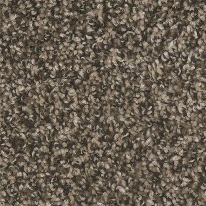 West Brow in Pepper Ridge Carpet