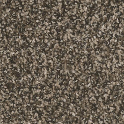 West Brow in Pepper Ridge Carpet