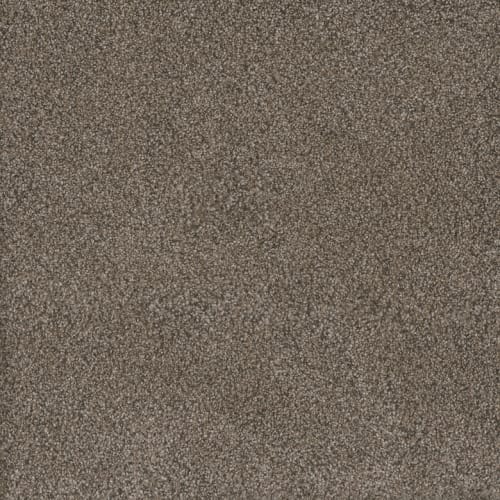 MONTE CARLO I in Fawn