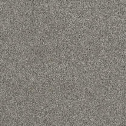 MONTE CARLO I