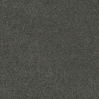 MONTE CARLO I