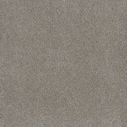 MONTE CARLO I