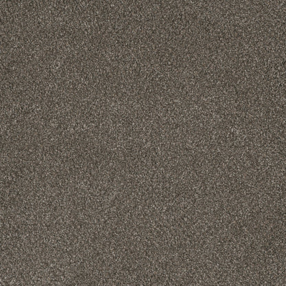 MONTE CARLO I